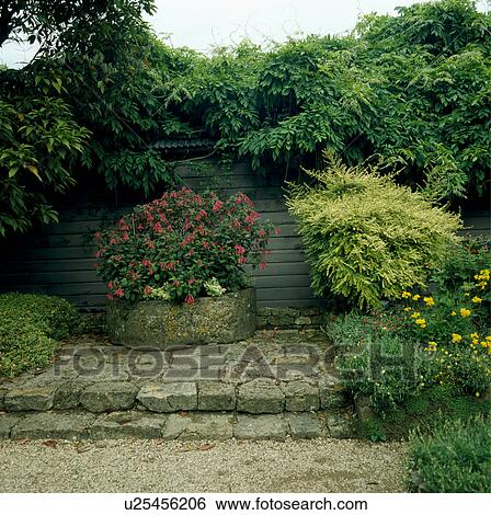Stock Photograph - Stone steps in country garden in summer. Fotosearch
