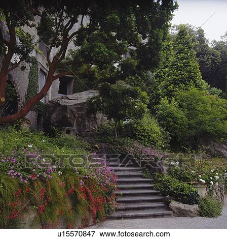 Stock Photo - Stone steps in Mediterranean hillside garden in summer. Fotosearch