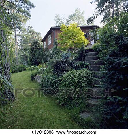 Stock Photo - Stone steps to house in steep country garden in summer. Fotosearch