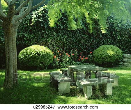 Stone table and benches in the shade of a robinia View Large Photo Image Stock Photo - Stone table and benches in the shade of a robinia . Fotosearch