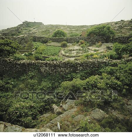 Stock Image - Stone wall in seaside garden. Fotosearch