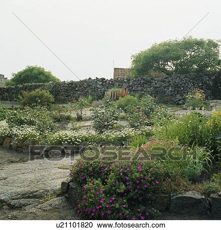 Stone wall in seaside garden View Large Photo Image Stock Image - Stone wall in seaside garden. Fotosearch