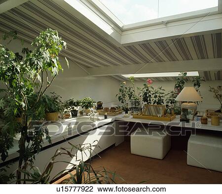 Striped Wallpaper On Attic Ceiling With Velux Window In Bathroom With Square White Stools Below Plants On Shelf Stock Image