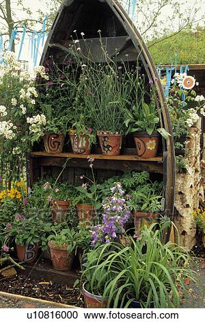 Stock Image - Summer flowering plants on shelf in upturned boat. Fotosearch