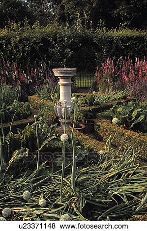 Stock Photo - Sundial in large potager garden. Fotosearch