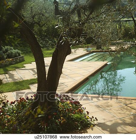 Stock Photo - Swimming pool in Italian country garden. Fotosearch
