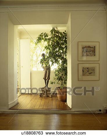 Stock Image - Tall green houseplant and large statue in white hall with wooden flooring. Fotosearch