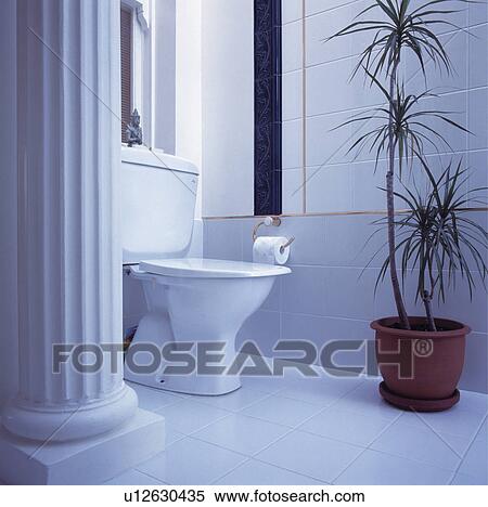 Stock Photography - Tall houseplant in pot beside white toilet in white tiled cloakroom with classical white pillar. Fotosearch