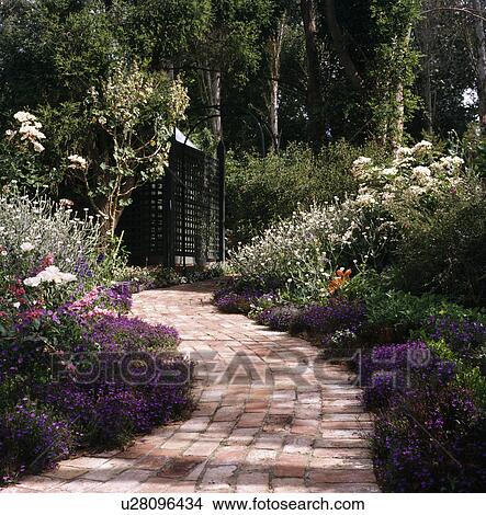 Terracotta curved brick path with blue lobelia bordering View Large Photo Image Picture - Terracotta curved brick path with blue lobelia bordering. Fotosearch