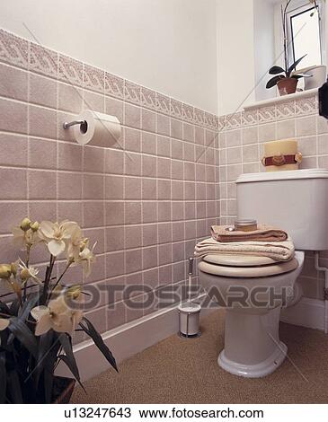 Toilet or WC with tiles to dado height View Large Photo Image Stock Image - Toilet or WC with tiles to dado height. Fotosearch