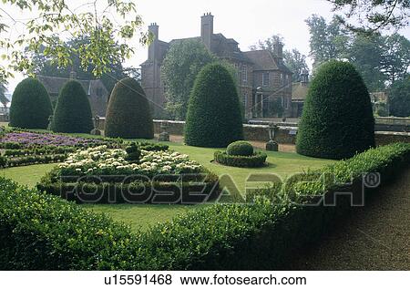 Topiary and clipped box hedge in large formal country garden in summer View Large Photo Image Stock Photo - Topiary and clipped box hedge in large formal country garden in summer. Fotosearch
