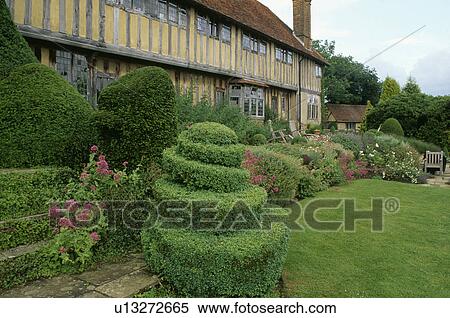 Stock Photography - Topiary and lawn in front of timbered Elizabeth house in the country. Fotosearch