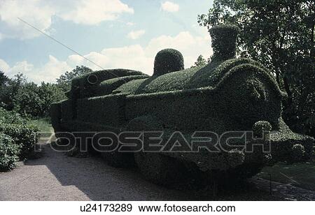 Stock Photo - Topiary train in country garden in summer. Fotosearch