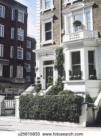 Stock Image - Town front garden in green and white with clipped box and a privet hedge&#13; &#10;. Fotosearch