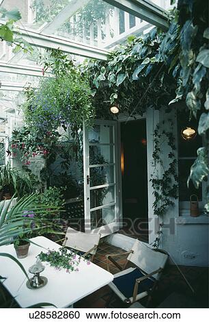 traditional, houseplant, doorways, diningroom, interior, town, interiors View Large Photo Image Stock Image - traditional, houseplant, doorways, diningroom, interior, town, interiors. Fotosearch
