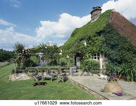 Traditional ivy-clad country cottage with large garden View Large Photo Image Stock Photo - Traditional ivy-clad country cottage with large garden. Fotosearch