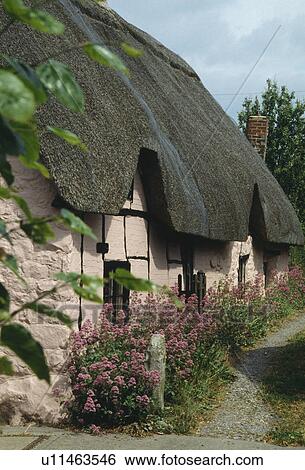 Traditional thatched country cottage View Large Photo Image Stock Photograph - Traditional thatched country cottage. Fotosearch