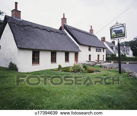 Traditional white painted country pub with thatched roof and sign on the lawn View Large Photo Image Stock Photo - Traditional white painted country pub with thatched roof and sign on the lawn. Fotosearch
