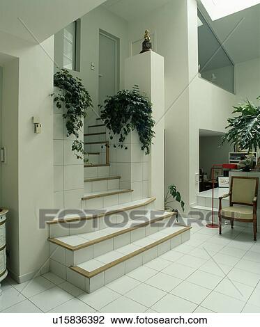 Stock Image - Trailing green houseplants on low walls on either side of white tiled staircase in openplan white eighties modern hall. Fotosearch