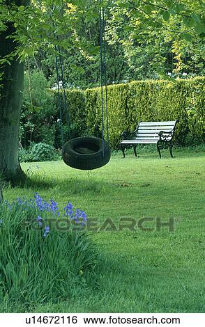 Stock Photograph - Tree with swing in country garden in summer. Fotosearch