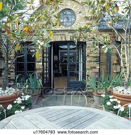 Trees And Plants In Pots On Patio In Front Of Small Modern