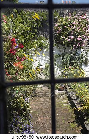 Stock Image - View from inside window to walled garden with summer flowers. Fotosearch