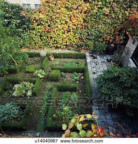 View of a herb garden with box, formal granite paviors and backed by a wall of virginia creeper View Large Photo Image Stock Photo - View of a herb garden with box, formal granite paviors and backed by a wall of virginia creeper. Fotosearch