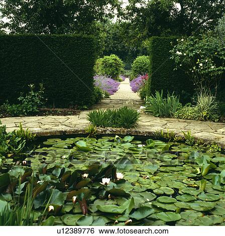 Stock Photograph - Waterlilies on circular pond enclosed by hedges in large country garden. Fotosearch