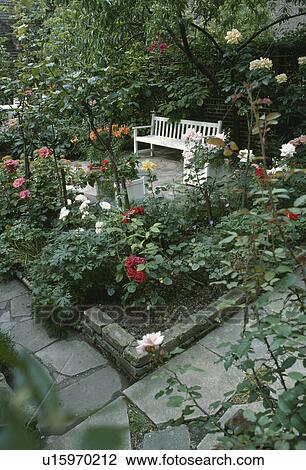 Stock Image - White bench in paved townhouse garden with roses in edged beds. Fotosearch