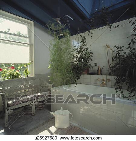 White blind on window above painted white settle in bathroom with houseplants on shelf above white bath View Large Photo Image Stock Image - White blind on window above painted white settle in bathroom with houseplants on shelf above white bath. Fotosearch