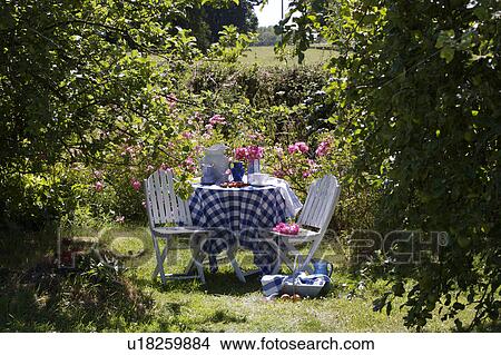 Picture - White chairs and table with blue+white checked cloth in country garden in summer. Fotosearch