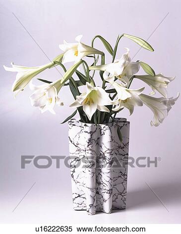 white, handicraft, flowers, fresh, lily, monochromatic, objects View Large Photo Image Stock Photography - white, handicraft, flowers, fresh, lily, monochromatic, objects. Fotosearch