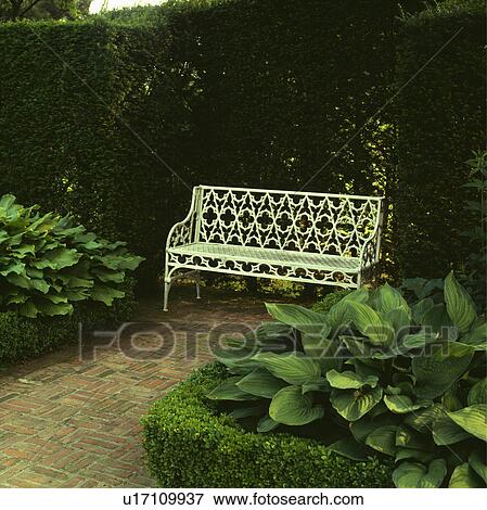 White metal bedge in front of hedge in country garden in summer View Large Photo Image Stock Photo - White metal bedge in front of hedge in country garden in summer. Fotosearch
