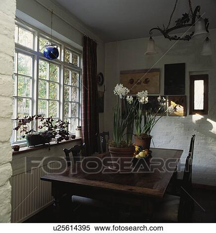 White narcissi in pots on wooden table in front of window in country dining room View Large Photo Image Stock Photography - White narcissi in pots on wooden table in front of window in country dining room. Fotosearch