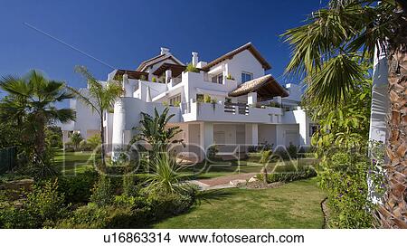 Picture - White newbuild Spanish villa in garden with lawn and palm trees. Fotosearch