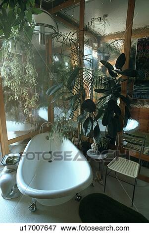 Stock Photo - White rolltop bath in front of houseplants and mirrored wall in corner of traditional bathroom. Fotosearch