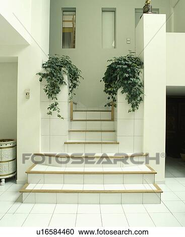 White tiles staircase in eighties modern white hall with trailing green houseplants View Large Photo Image Stock Image - White tiles staircase in eighties modern white hall with trailing green houseplants. Fotosearch