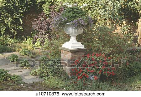 Stock Photography - White urn on wall above red impatiens in pot in country garden. Fotosearch