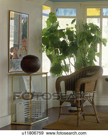 Wicker chair and tall houseplant in front of window View Large Photo Image Stock Photo - Wicker chair and tall houseplant in front of window. Fotosearch