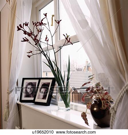 Window with white voile curtains and photographs on window sill View Large Photo Image Stock Image - Window with white voile curtains and photographs on window sill. Fotosearch