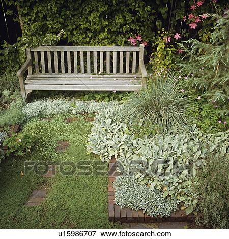 Stock Photo - Wooden bench in country garden in summer. Fotosearch