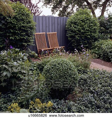 Wooden chairs against fence in country garden with clipped shrubs View Large Photo Image Stock Photograph - Wooden chairs against fence in country garden with clipped shrubs. Fotosearch