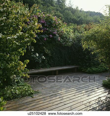 Stock Photo - Wooden decking and bench in country garden in summer. Fotosearch