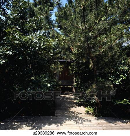Wooden decking in country garden in summer View Large Photo Image Stock Photograph - Wooden decking in country garden in summer. Fotosearch