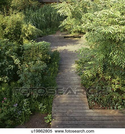 Wooden decking path in country garden in summer View Large Photo Image Stock Photography - Wooden decking path in country garden in summer. Fotosearch