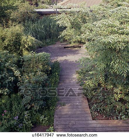 Stock Photo - Wooden decking path in green country garden in summer. Fotosearch