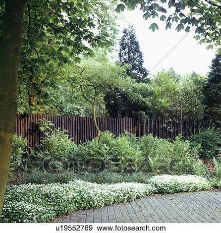 Stock Photo - Wooden fence in large country garden in summer. Fotosearch