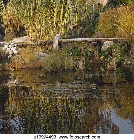 Wooden footbridge over stream in country garden View Large Photo Image Stock Image - Wooden footbridge over stream in country garden. Fotosearch