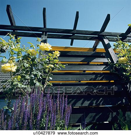 Wooden pergola in country garden in summer View Large Photo Image Stock Photo - Wooden pergola in country garden in summer. Fotosearch