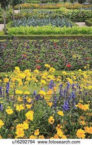 Picture - yellow, beds, formal, gardens. Fotosearch